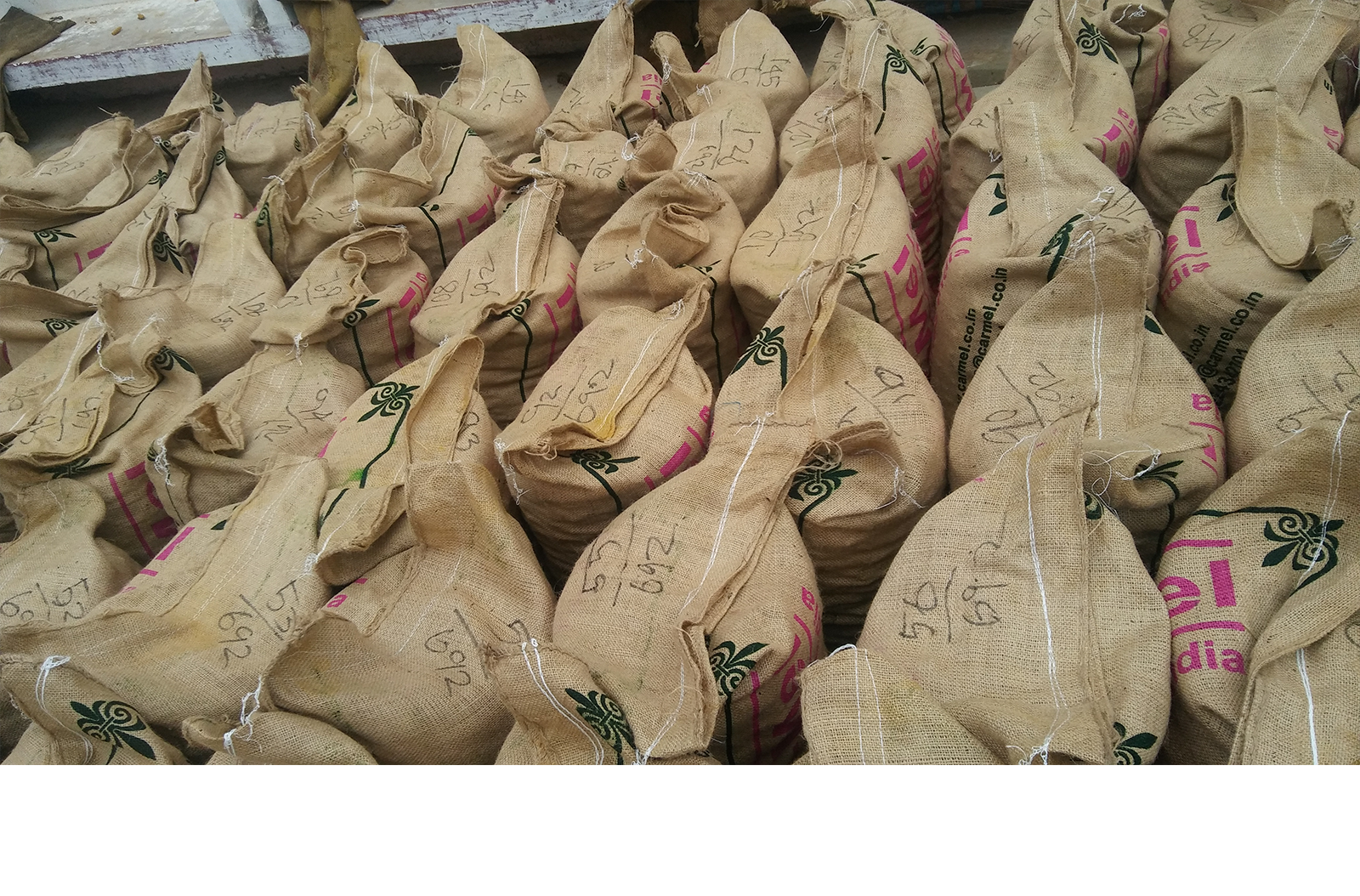 Commodity Export Division
